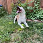 Ben Kohl - @beankohl - Instagram