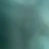 benkraemer4843 - @burner14886458 - TikTok