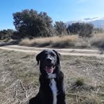benjamin - @benkress19 - Instagram