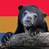 umntanmxhosarhadebenkunz - @umntanmxhosarhadebenkunz - TikTok