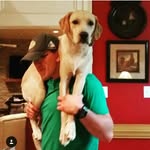 Ben Kurtz - @kurtzben23 - Instagram