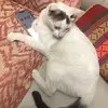Benla Salapao - @benlasalapao - TikTok