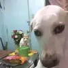 benniedoroja - @bennielasala - TikTok