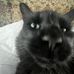 Benjamin Lavallee - Facebook