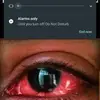 benjaminlazarus2 - @benjaminlazarus2 - TikTok
