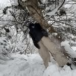 Ben Legassey - @legasseyben - Instagram