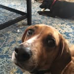 Ben lehner - @benlehner6 - Instagram