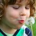 Bende Leitner - Facebook