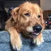 benjaminleitner11 - @benjaminleitner11 - TikTok