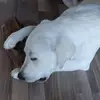 benleitner7 - @benleitner7 - TikTok