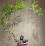 Bến Cũ Là Đây - Facebook