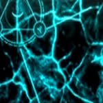 @benleotta - Instagram