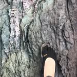 Ben Lincoln - @_solemovement_ - Instagram