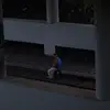 lincolnnbenj - @lincolnnbenj - TikTok
