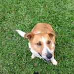 ben Linneman - @ben_linneman51 - Instagram