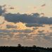 Ben Litman - Facebook