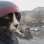Ben.Litman - @ben_litman4 - Instagram