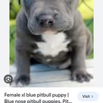 Ben Lowe - Facebook