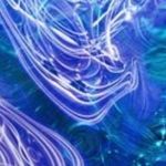 Ben Ludwig - @ben.ludwig.17 - Instagram