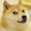 Cau_vangmeme - @benlynamphong - TikTok