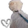 I'm Benny 🐶 - @benny_maltese - TikTok