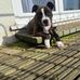 Ben Mansfield - Facebook