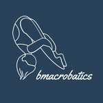 Ben Mansfield Acrobatics - @bmacrobatics - Instagram