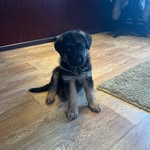 Ben - @benmarkosian2022 - Instagram