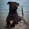 markos m ben - @markos.ben - TikTok