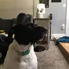 benmartini42 - @benmartini42 - TikTok
