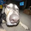 Ben Marzec - @ben.marzec1 - TikTok