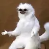 Ben Massey - @benmassey8 - TikTok