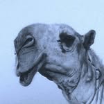 @ben_mater1 - Instagram