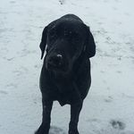 Ben Mather - @ben_mather_ - Instagram