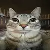 BenMatt - @benmatt41 - TikTok