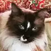 benmatteson - @benmatteson - TikTok