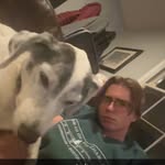 Ben Mattice - @ben.mattice - Instagram