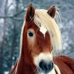 Ben Mäuer - @ben.mauer.121 - Instagram