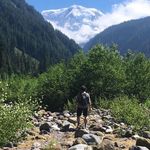 Ben Mauk - @maukben - Instagram