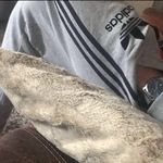 Ben Maxon - @benmaxon - Instagram