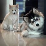 BEN & MAYA - @ben_and_maya - Instagram