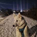 Ben Mayberry - @gentleben425 - Instagram