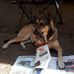 Ben McBride - Facebook