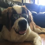 Ben McCabe - @barefootbenbo - Instagram