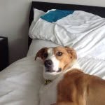 Ben McCabe - @ben66k - Instagram