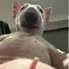 Ben McCabe - @benmccabe123456 - TikTok