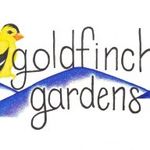 Ben McCann - @goldfinchgardens_celo - Instagram