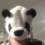 Ben - @ben_mccaul335533 - Instagram