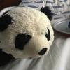 Ben McDonough - @crazy_panda39 - TikTok