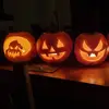 Ben McGregor - @ben.mcgregor63 - TikTok